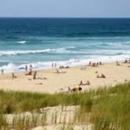 T2 - Climatise, Parking, 4 Pers, Centre-plage - Fr-1-521-162 Biscarrosse